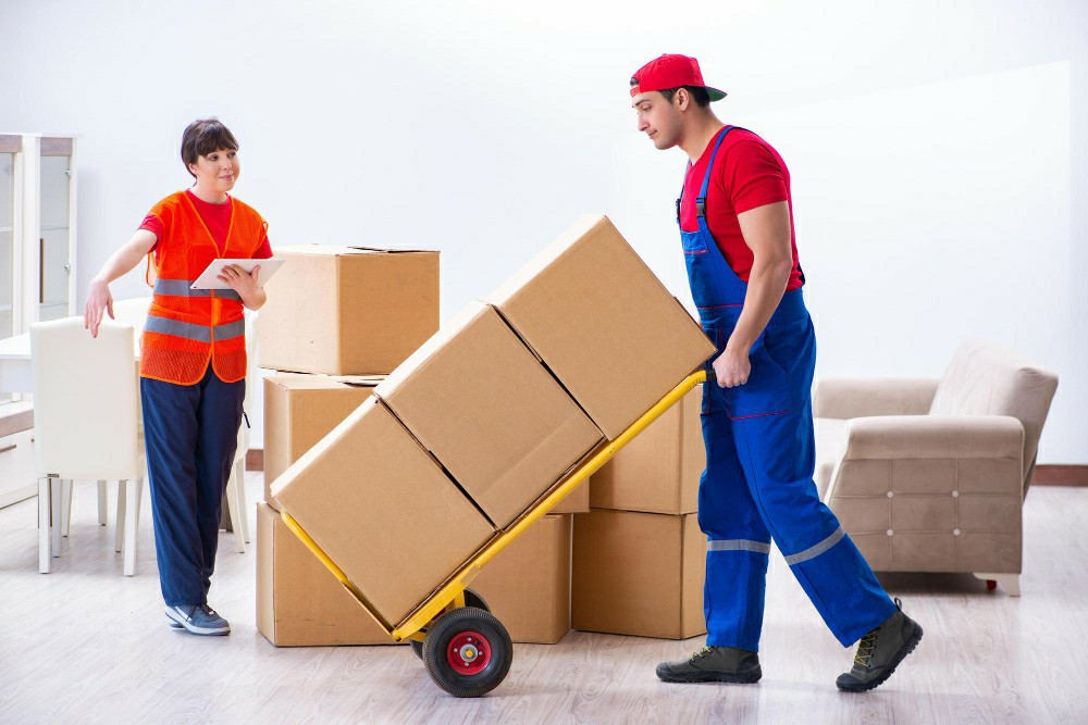 FREE Manual Handling Course Online in Athenry: Your Safety, Our Commitment - Manual Handling Training Article