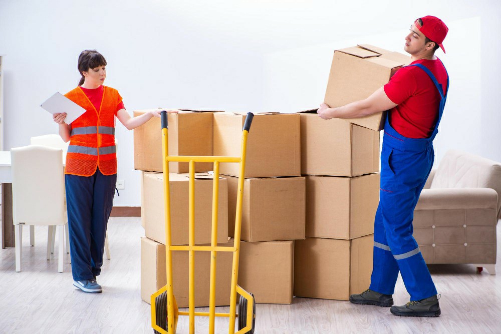 Enhancing Workplace Safety: The Importance of Online Manual Handling Courses in Ireland - Manual Handling Training Article