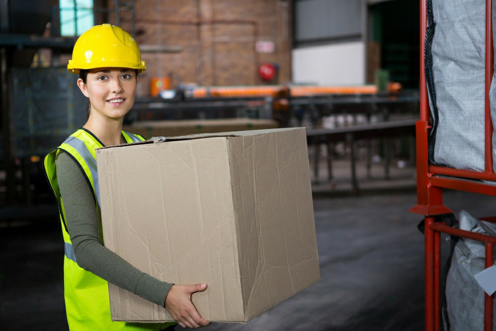 Navigating the Landscape of Health and Safety Training in Dublin: A Comprehensive Guide - Manual Handling Training Article