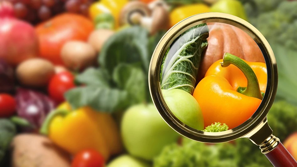 Elevate Your Food Business with HACCP Certification in Dublin, Cork, Galway & Beyond - Manual Handling Training Article