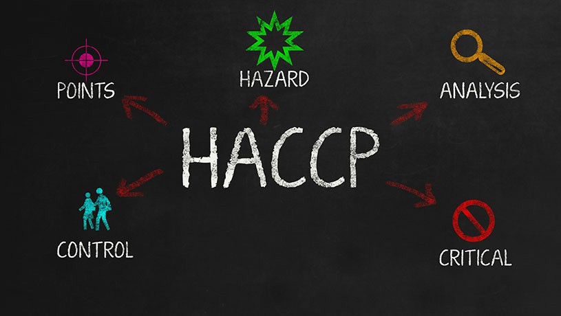 HACCP Training: Essential for Food Safety Compliance in Dublin, Cork, Galway, and Beyond - Manual Handling Training Article