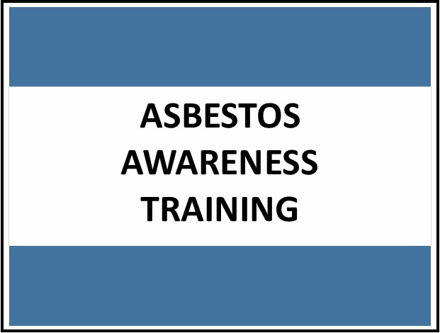 Secure Your Future: Enroll in Online Asbestos Awareness Training for Irish Businesses - Manual Handling Training Article